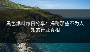 黑色爆料每日分享：揭秘那些不为人知的行业真相