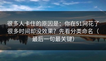 很多人卡住的原因是：你在51网花了很多时间却没效果？先看分类命名（最后一句最关键）