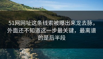 51网网址这条线索被曝出来龙去脉，外面还不知道这一步最关键，最离谱的是后半段