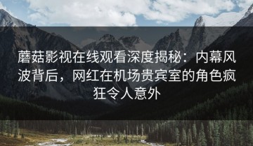 蘑菇影视在线观看深度揭秘：内幕风波背后，网红在机场贵宾室的角色疯狂令人意外