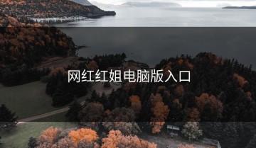 网红红姐电脑版入口