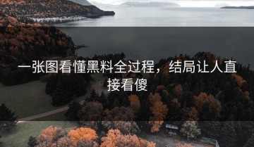 一张图看懂黑料全过程，结局让人直接看傻