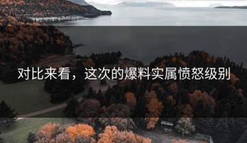 对比来看，这次的爆料实属愤怒级别