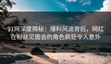 91网深度揭秘：爆料风波背后，网红在粉丝见面会的角色疯狂令人意外