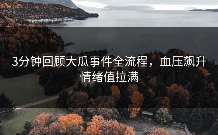 3分钟回顾大瓜事件全流程，血压飙升情绪值拉满