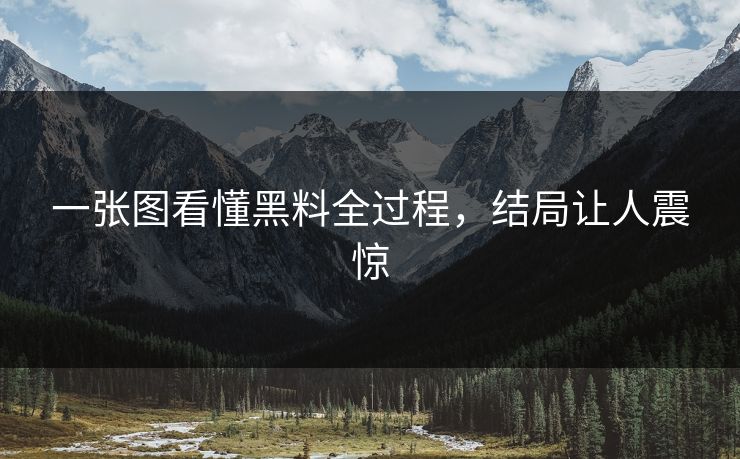 一张图看懂黑料全过程，结局让人震惊
