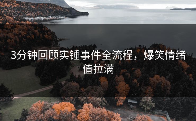 3分钟回顾实锤事件全流程，爆笑情绪值拉满