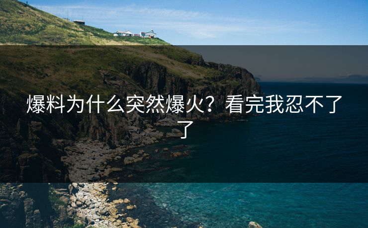 爆料为什么突然爆火？看完我忍不了了