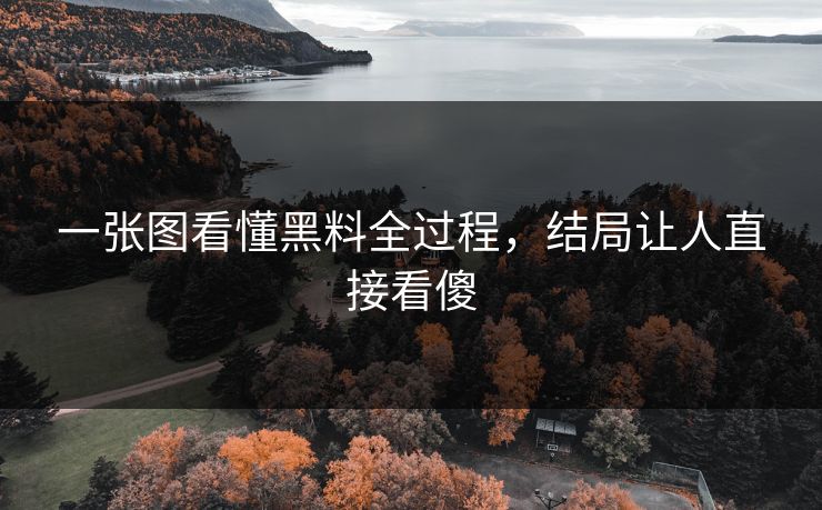 一张图看懂黑料全过程，结局让人直接看傻