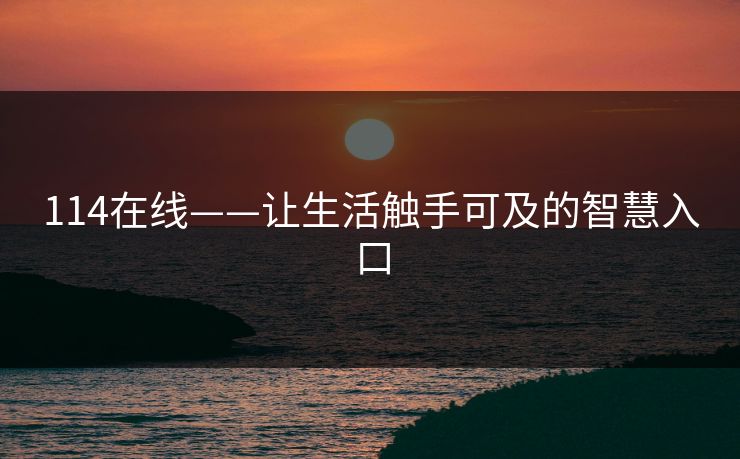 114在线——让生活触手可及的智慧入口