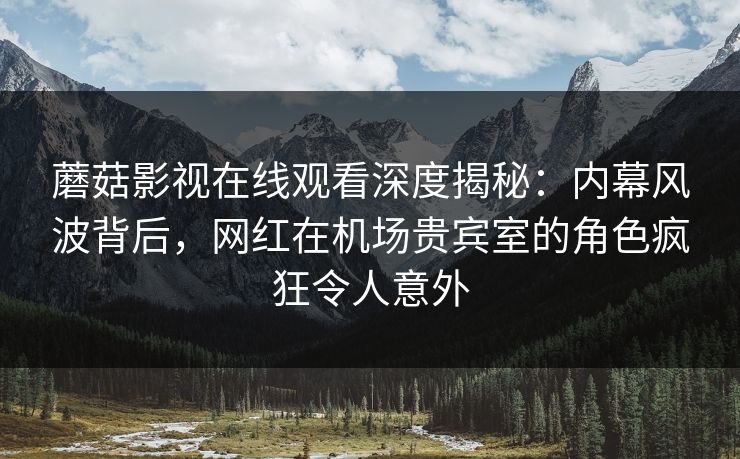 蘑菇影视在线观看深度揭秘：内幕风波背后，网红在机场贵宾室的角色疯狂令人意外