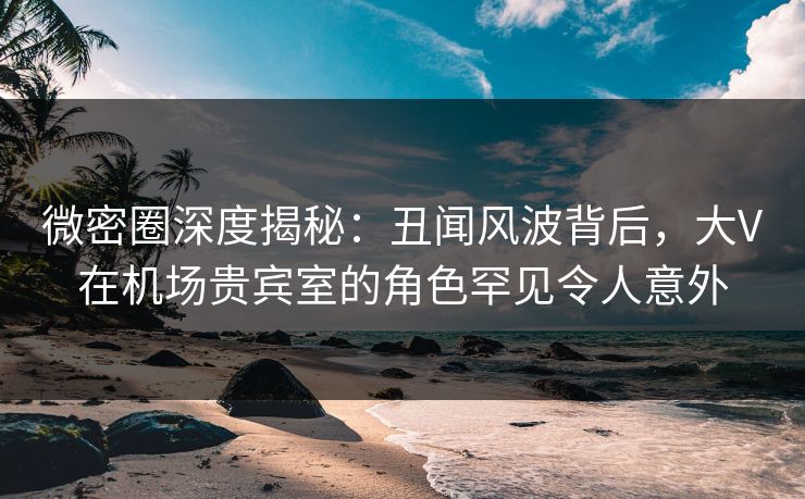 微密圈深度揭秘：丑闻风波背后，大V在机场贵宾室的角色罕见令人意外